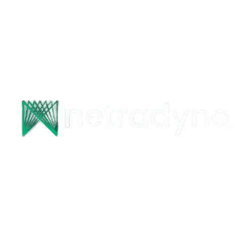 Home netradyne-logo